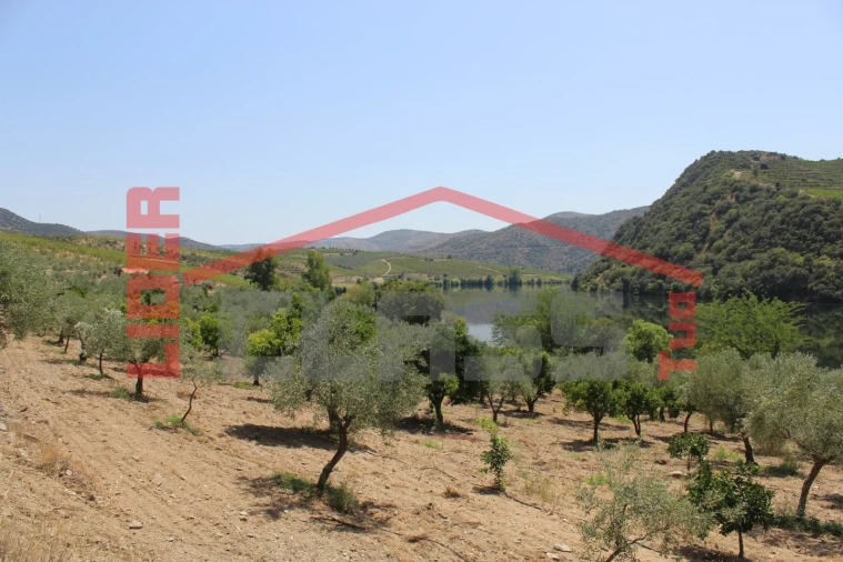 Quinta para Venda em Urros e Peredo dos Castelhanos Foto 23