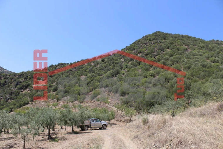 Quinta para Venda em Urros e Peredo dos Castelhanos Foto 24