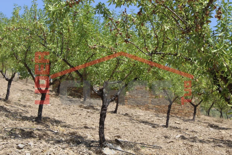 Quinta para Venda em Urros e Peredo dos Castelhanos Foto 27