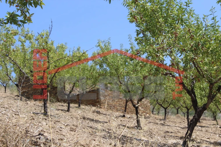 Quinta para Venda em Urros e Peredo dos Castelhanos Foto 28