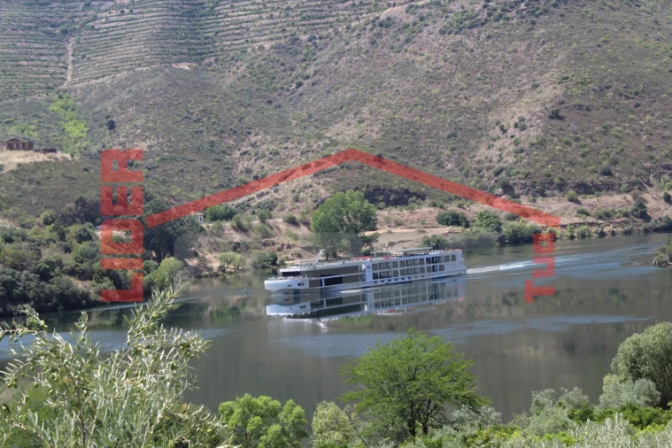 Quinta para Venda em Urros e Peredo dos Castelhanos