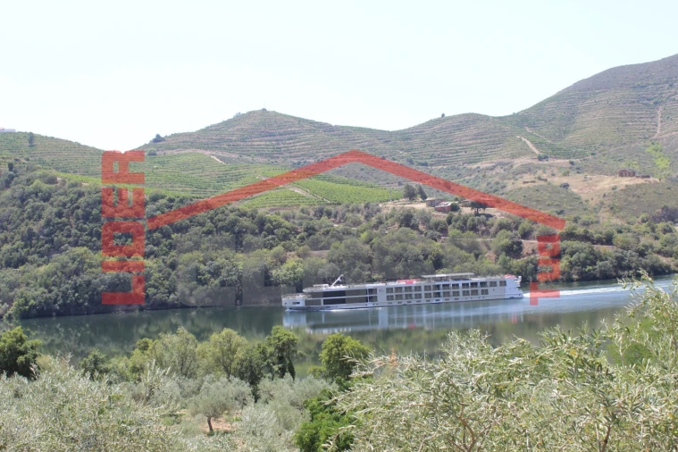 Quinta para Venda em Urros e Peredo dos Castelhanos Foto 30