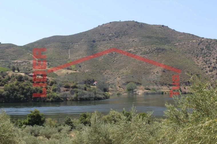 Quinta para Venda em Urros e Peredo dos Castelhanos Foto 32