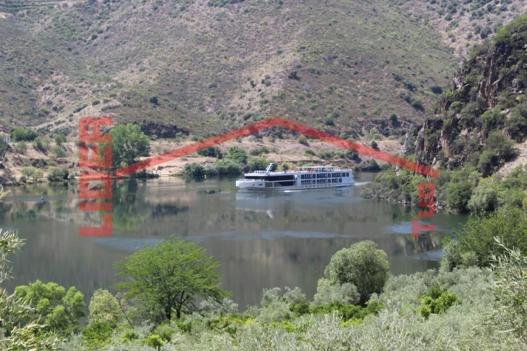 Quinta para Venda em Urros e Peredo dos Castelhanos Foto 31