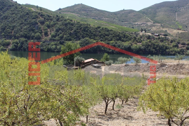 Quinta para Venda em Urros e Peredo dos Castelhanos Foto 6