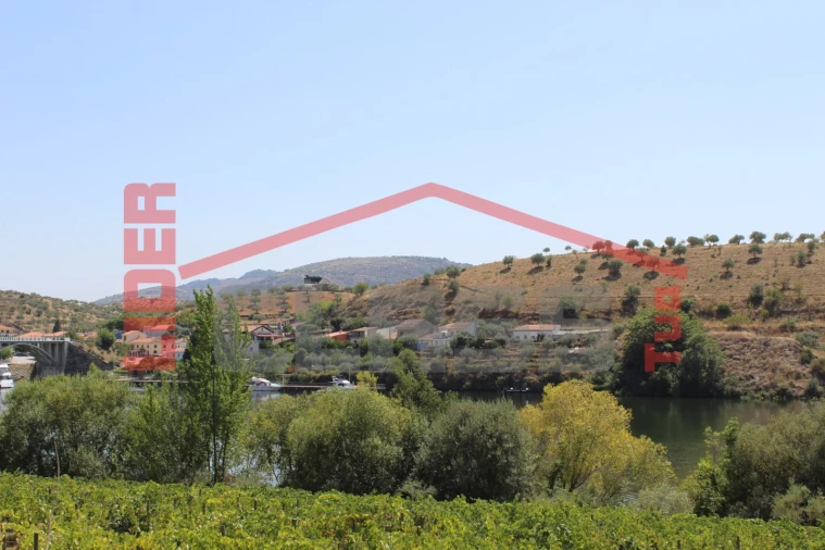 Quinta para Venda em Urros e Peredo dos Castelhanos Foto 14