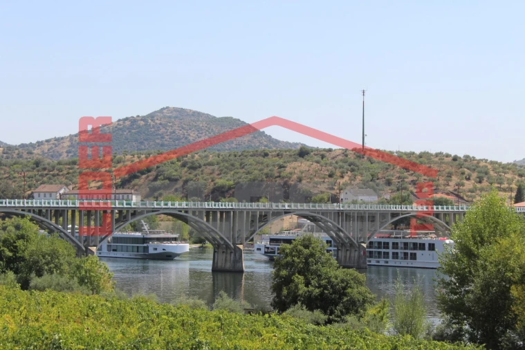Quinta para Venda em Urros e Peredo dos Castelhanos Foto 43