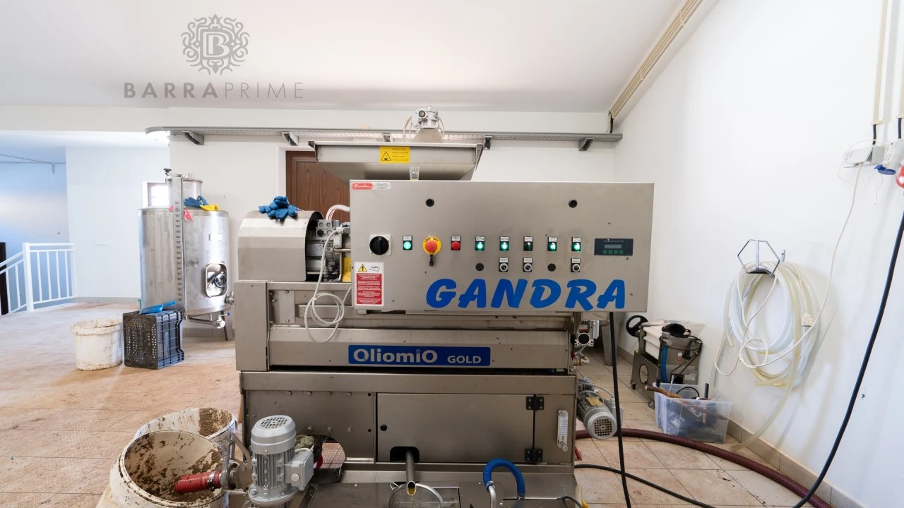 Quinta T1 para Venda em São Bartolomeu de Messines Foto 18