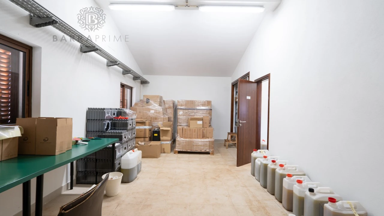 Quinta T1 para Venda em São Bartolomeu de Messines Foto 19