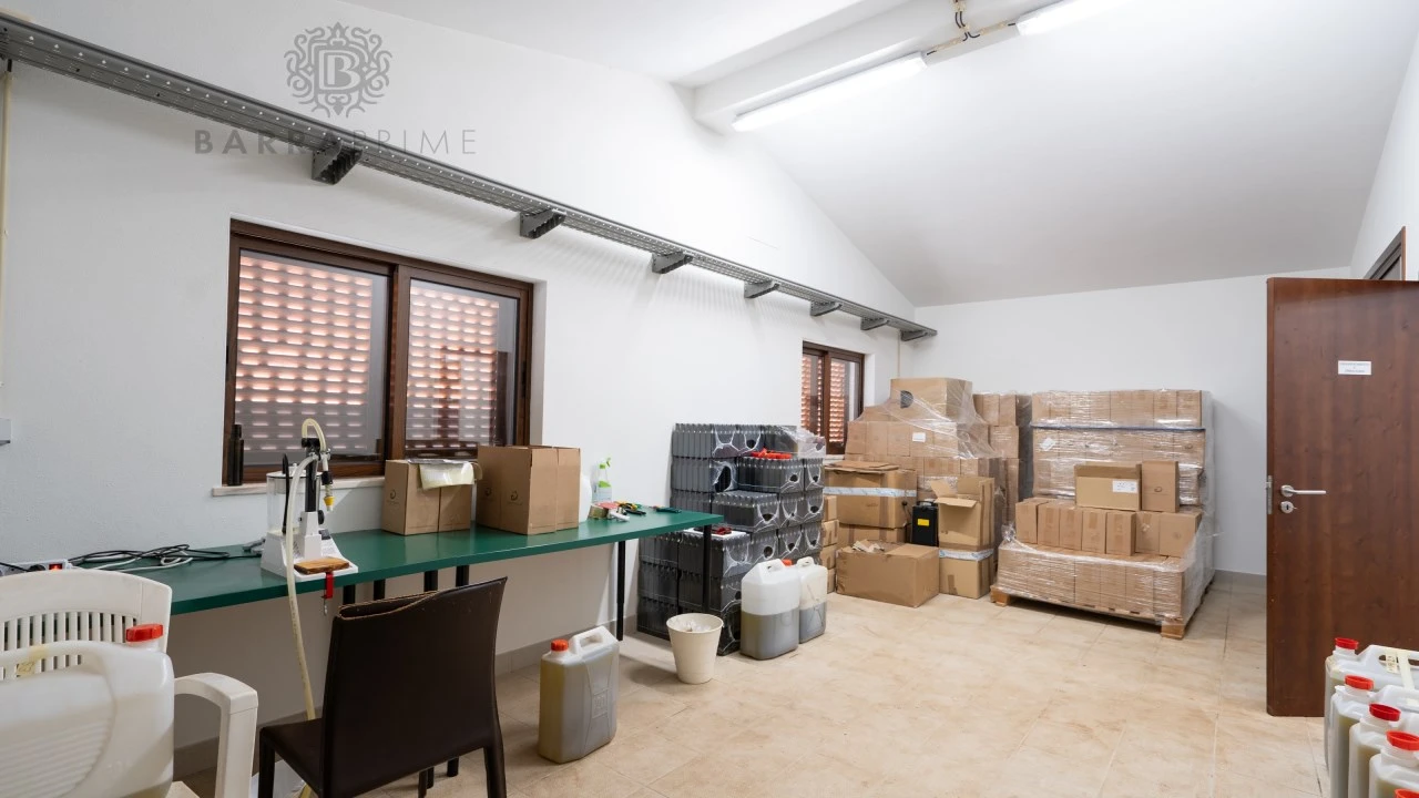 Quinta T1 para Venda em São Bartolomeu de Messines Foto 20