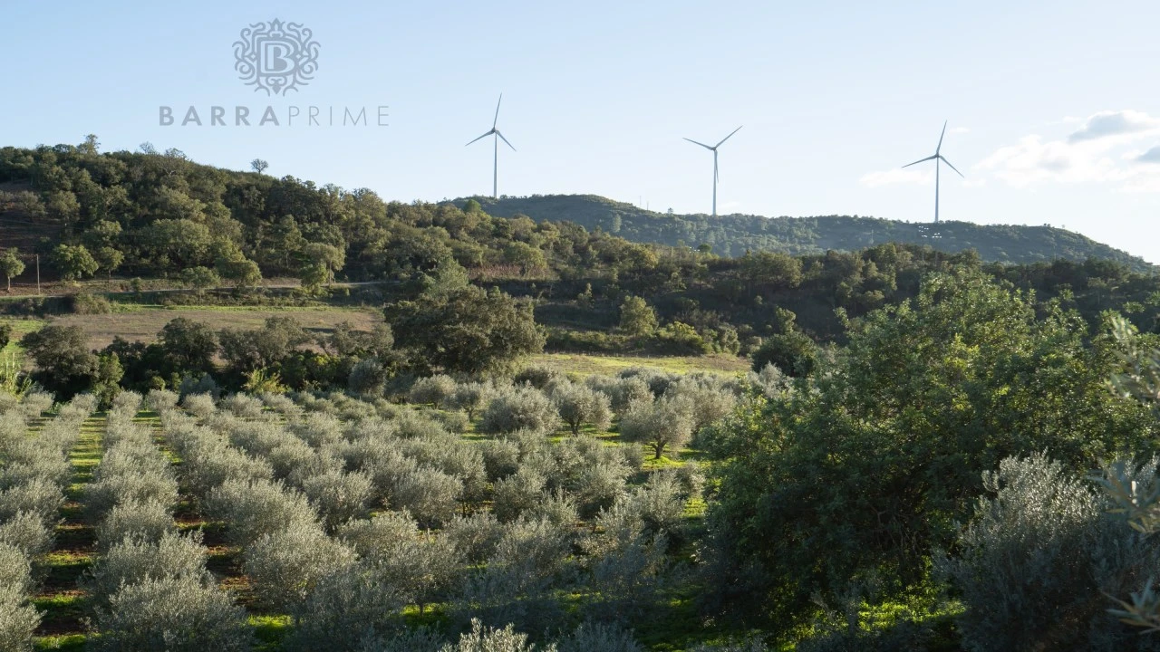 Quinta T1 para Venda em São Bartolomeu de Messines Foto 25