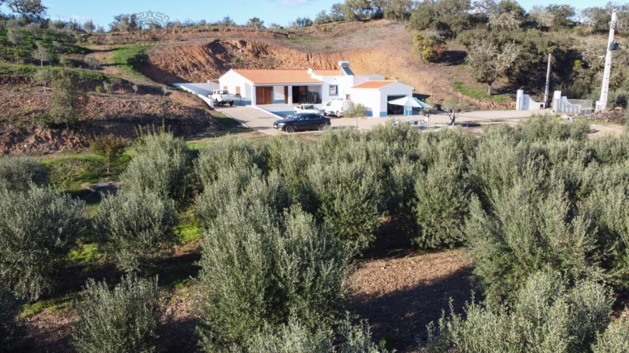 Quinta T1 para Venda em São Bartolomeu de Messines Foto 6