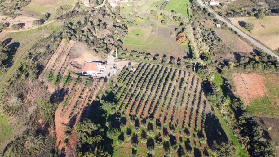 Quinta T1 para Venda em São Bartolomeu de Messines Foto 2