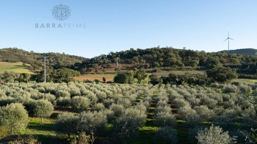Quinta T1 para Venda em São Bartolomeu de Messines Foto 24