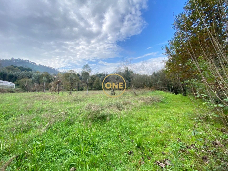 Terreno para Venda em Souto Foto 4