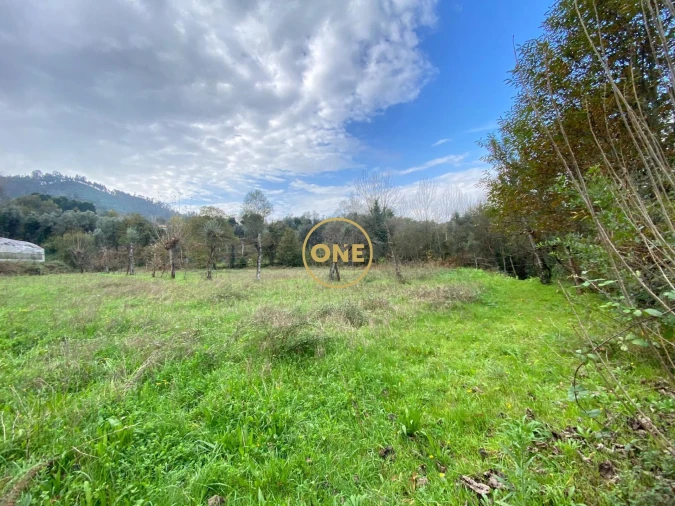 Terreno para Venda em Souto Foto 4