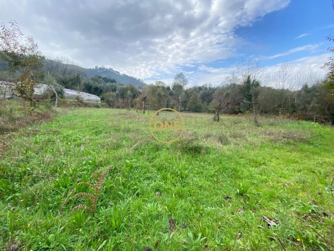 Terreno para Venda em Souto Foto 1