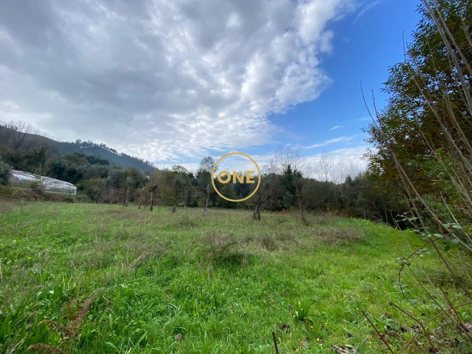 Terreno para Venda em Souto Foto 3