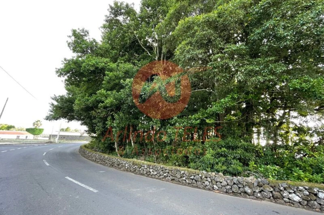 Terreno para Venda em São Mateus da Calheta Foto 2