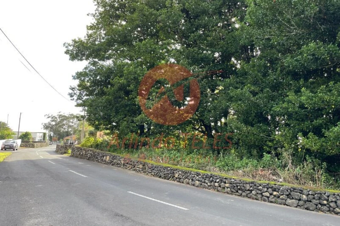 Terreno para Venda em São Mateus da Calheta Foto 8