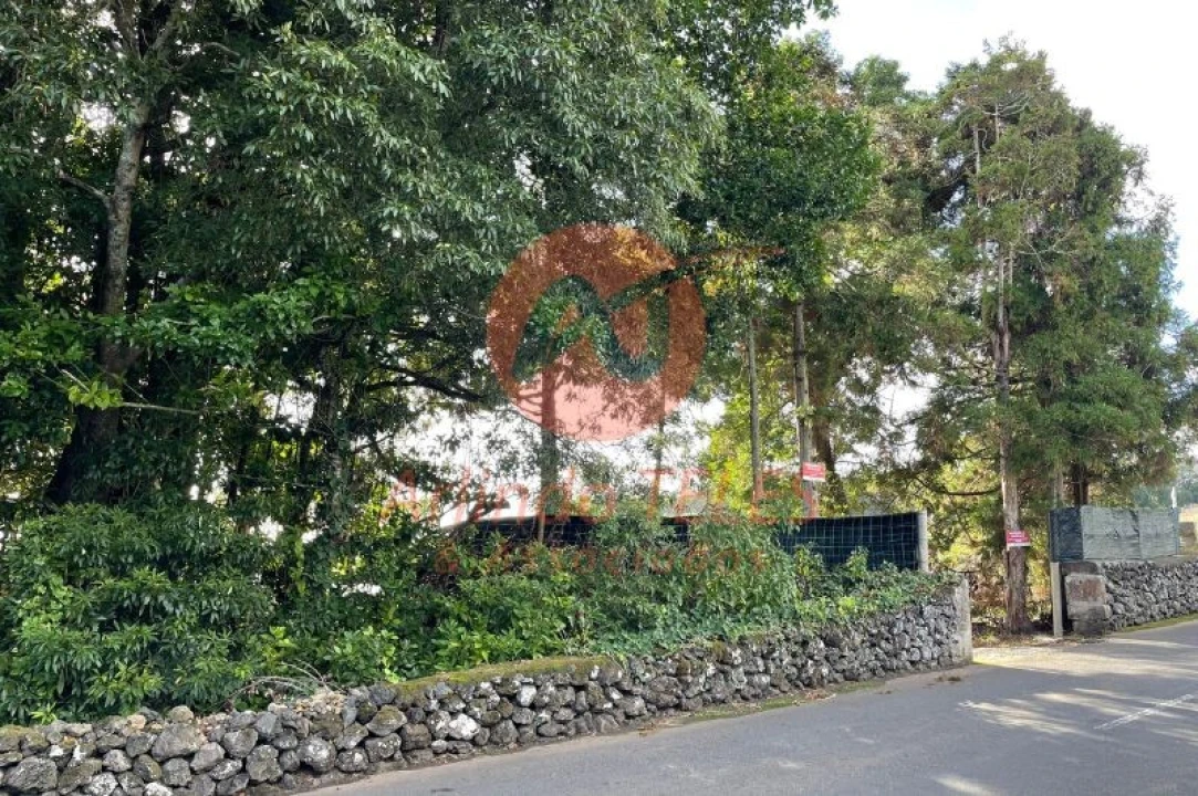 Terreno para Venda em São Mateus da Calheta Foto 6