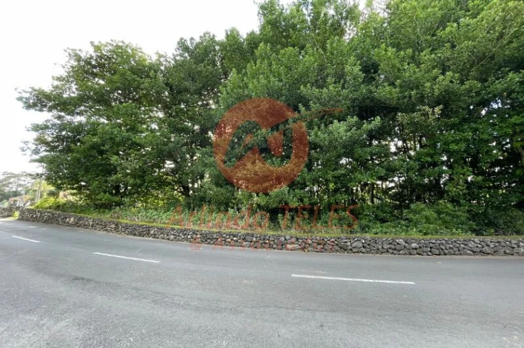 Terreno para Venda em São Mateus da Calheta Foto 9