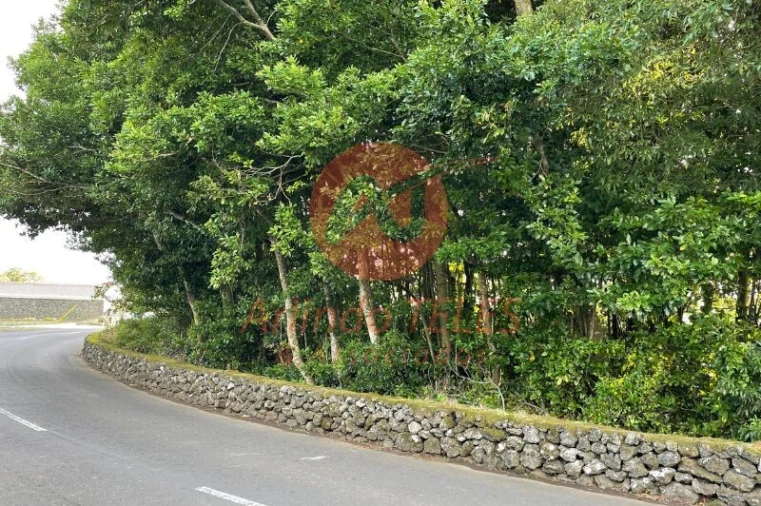 Terreno para Venda em São Mateus da Calheta Foto 4