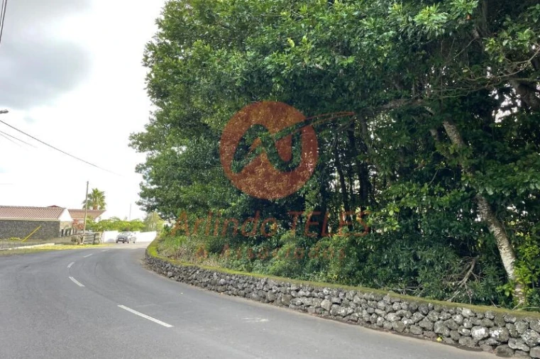 Terreno para Venda em São Mateus da Calheta Foto 7
