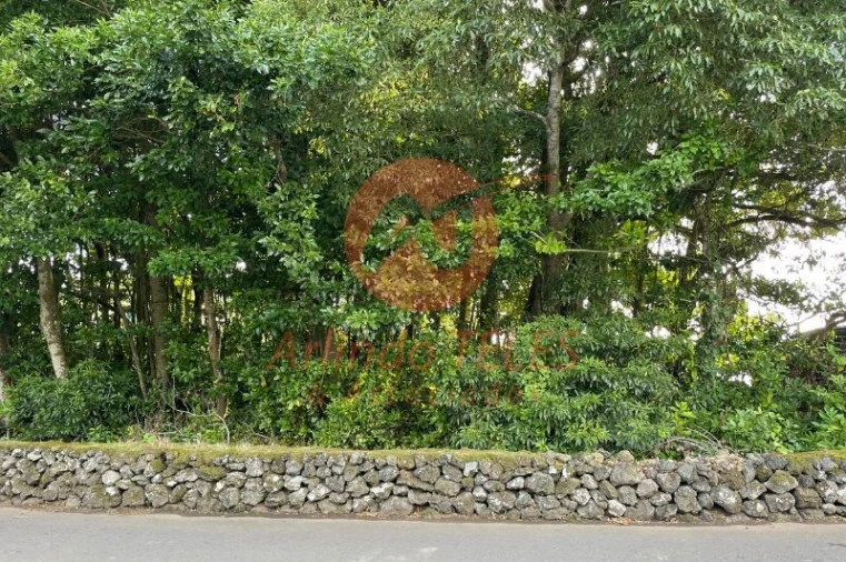 Terreno para Venda em São Mateus da Calheta Foto 5