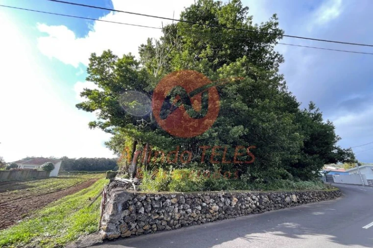 Terreno para Venda em São Mateus da Calheta Foto 11