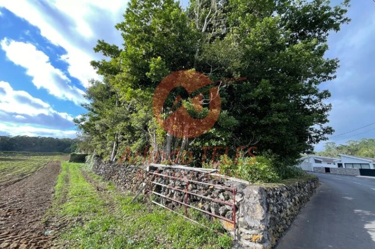 Terreno para Venda em São Mateus da Calheta Foto 12