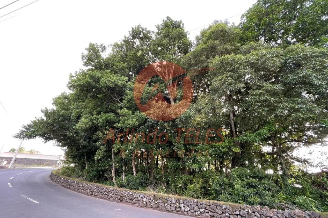 Terreno para Venda em São Mateus da Calheta Foto 3