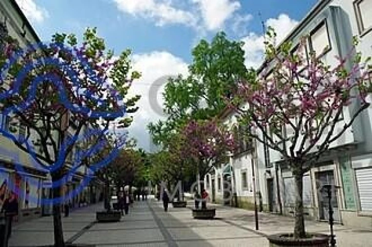 Negócio para Trespasse em Braga (Maximinos, Sé e Cividade) Foto 4