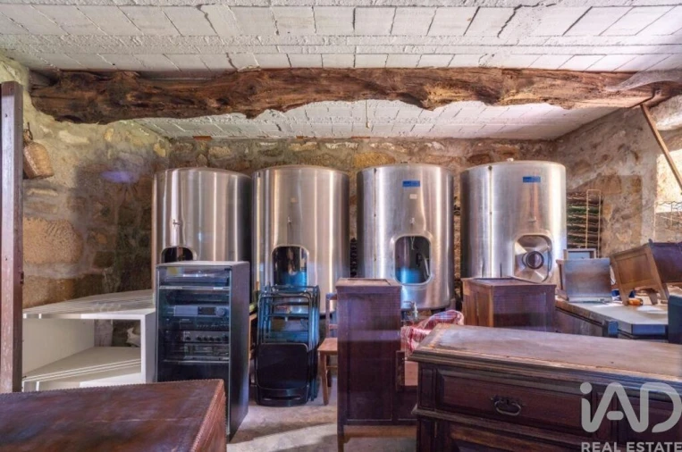 Moradia T10 para Venda em Ferreiros, Prozelo e Besteiros Foto 27