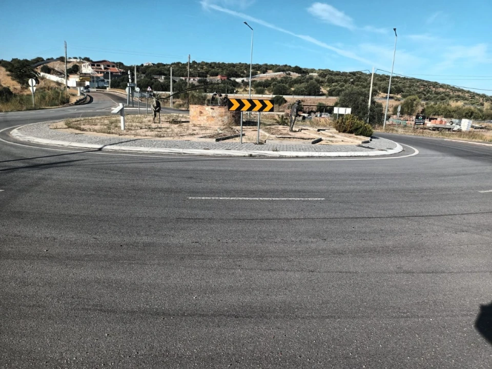 Terreno para Venda em Caia, São Pedro e Alcáçova Foto 5