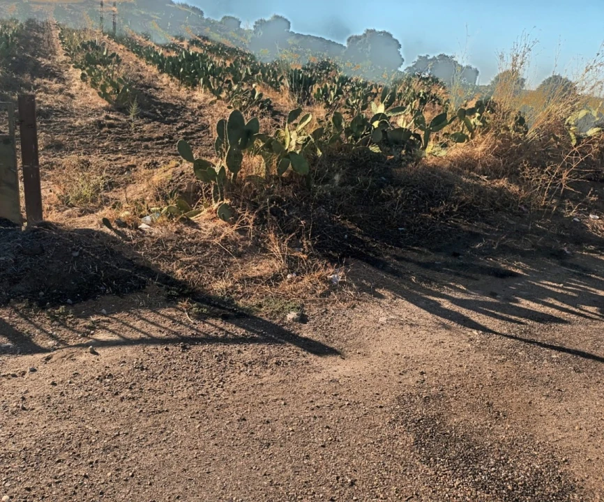 Terreno para Venda em Caia, São Pedro e Alcáçova Foto 14