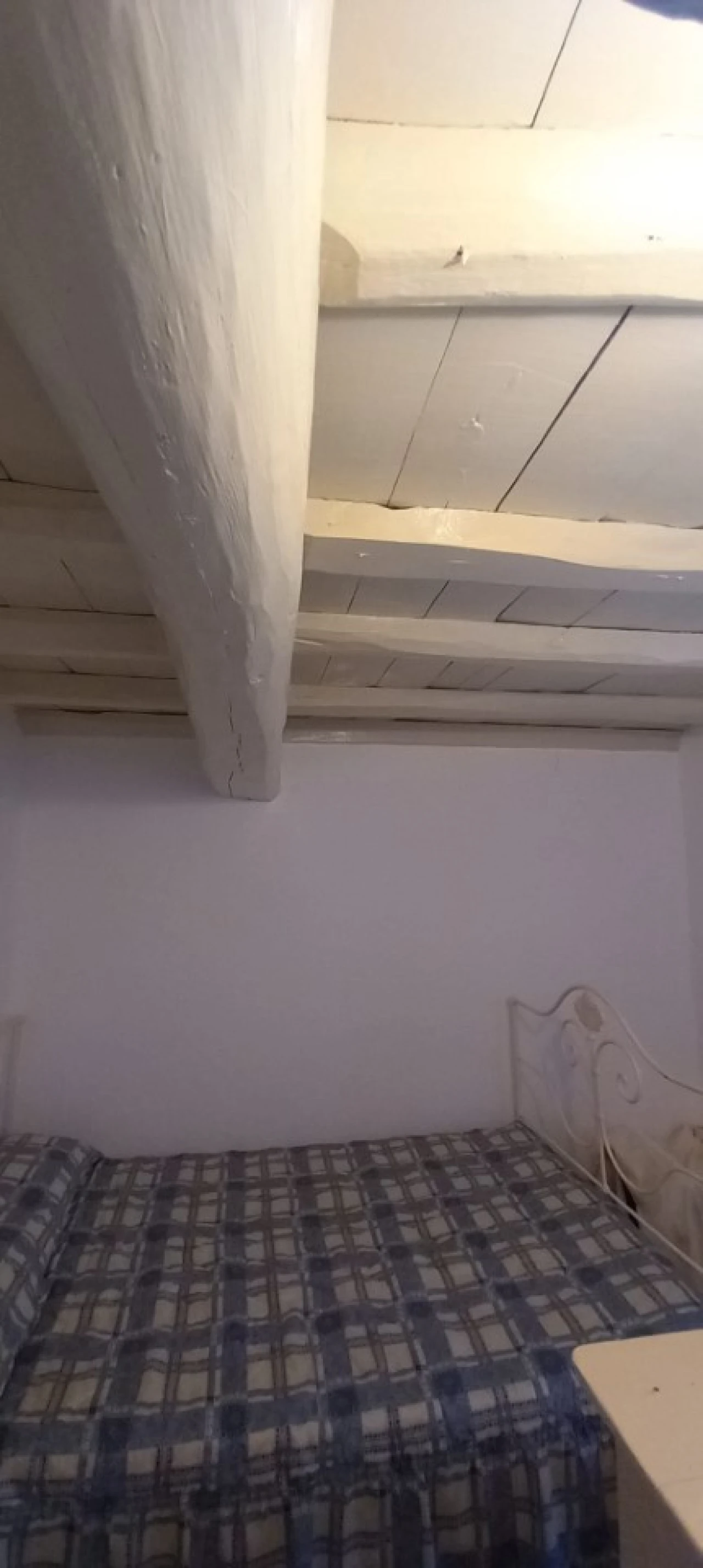 Moradia T3 para Venda em Alegrete Foto 15