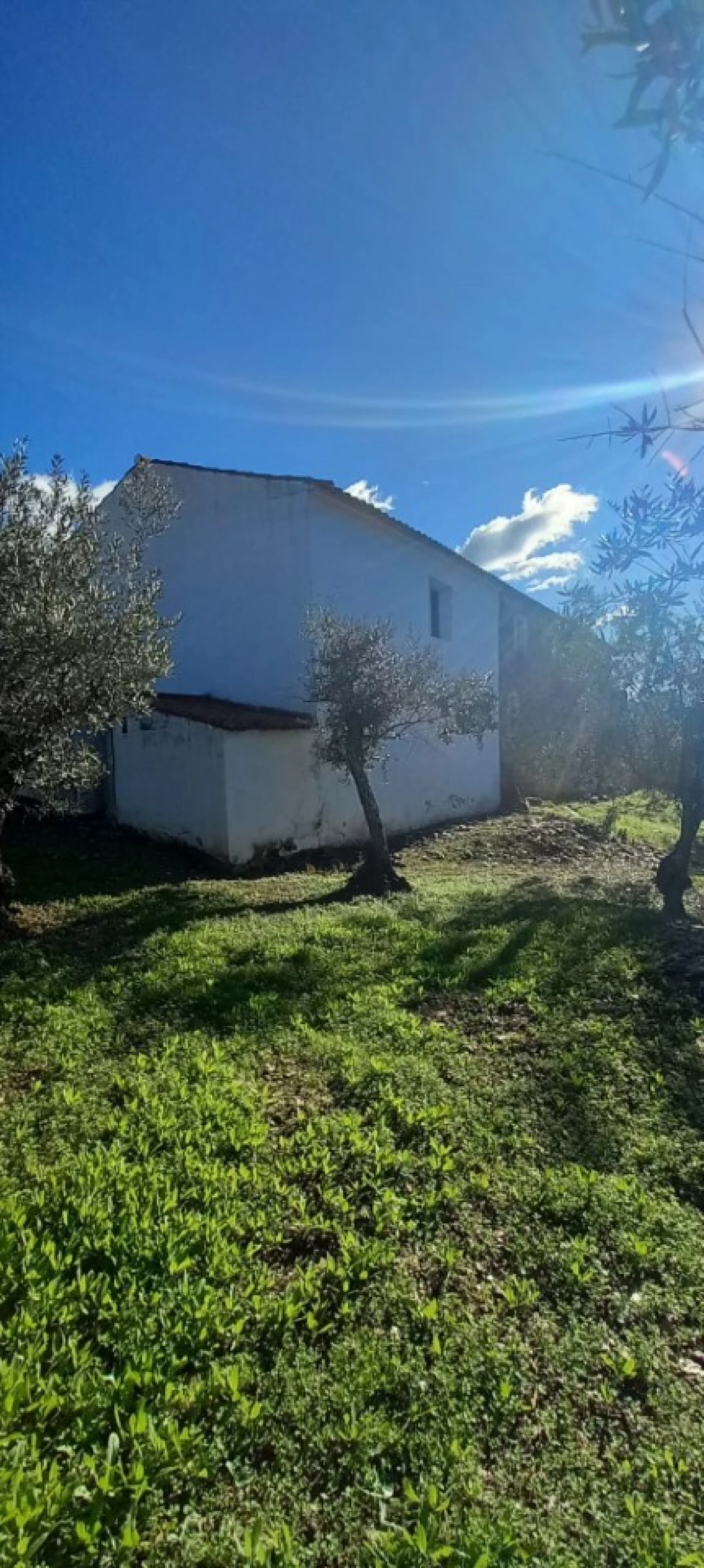 Moradia T3 para Venda em Alegrete Foto 43