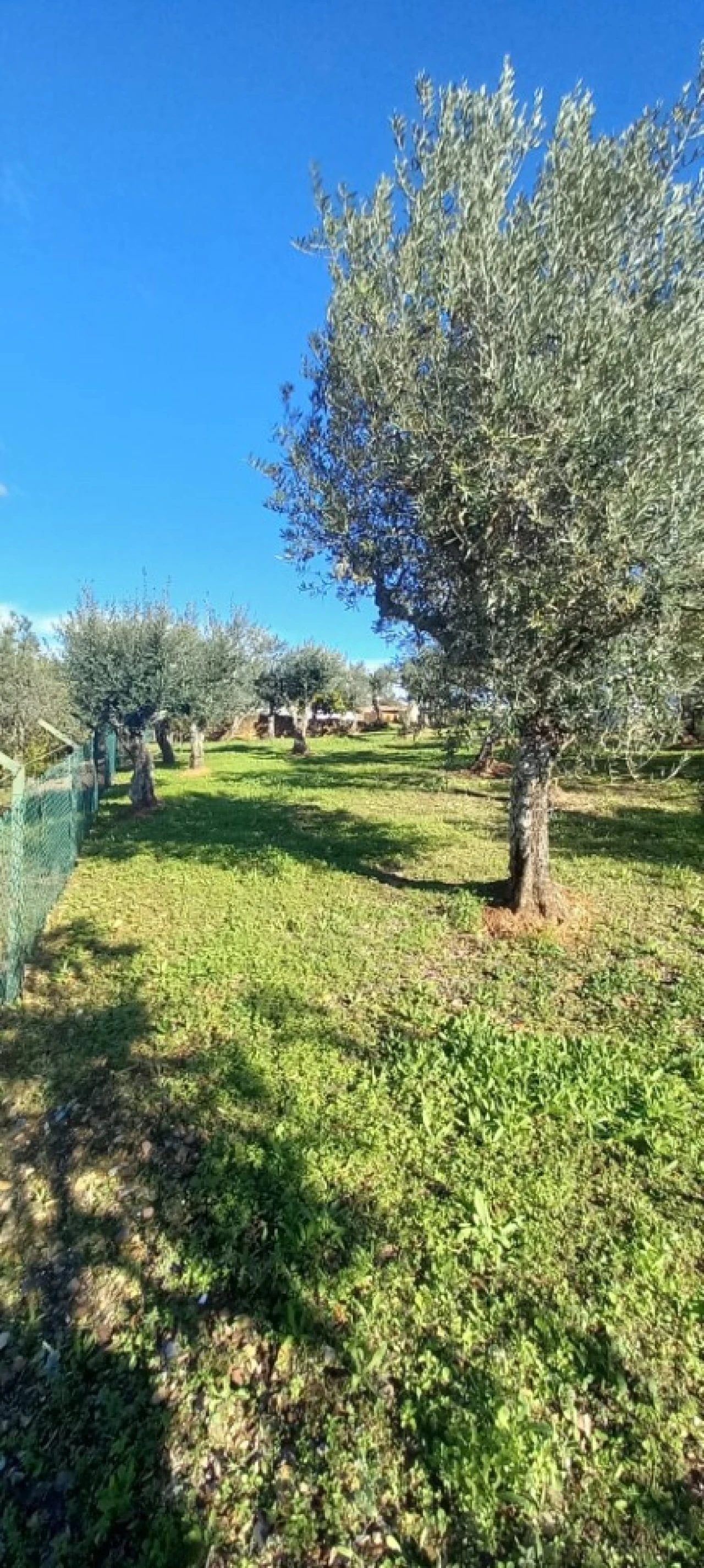 Moradia T3 para Venda em Alegrete Foto 44