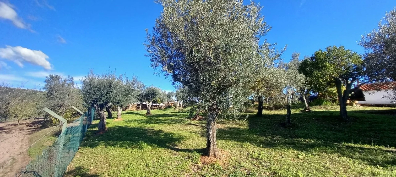 Moradia T3 para Venda em Alegrete Foto 45