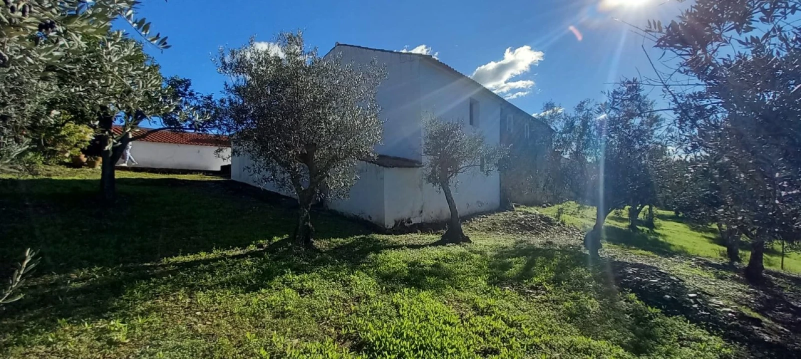 Moradia T3 para Venda em Alegrete Foto 47