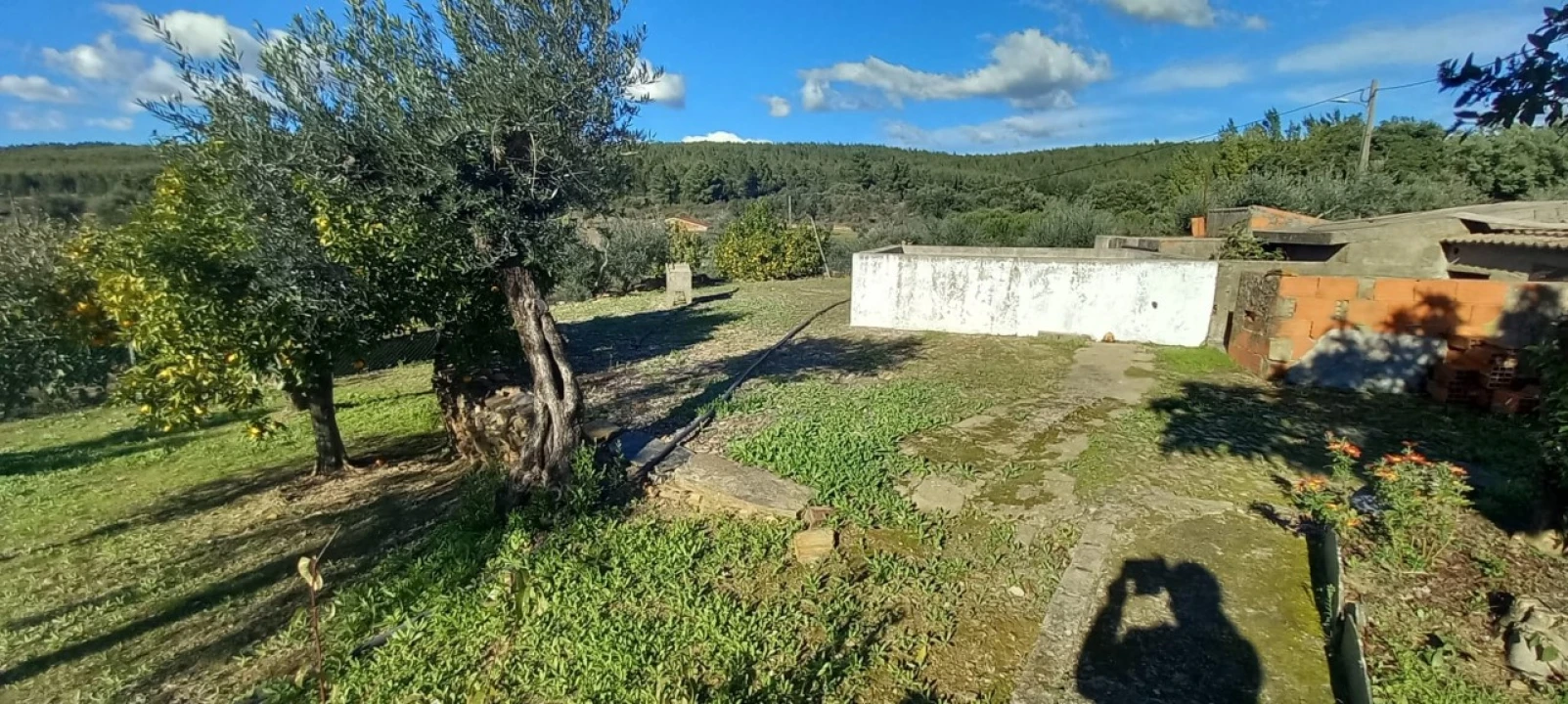 Moradia T3 para Venda em Alegrete Foto 51