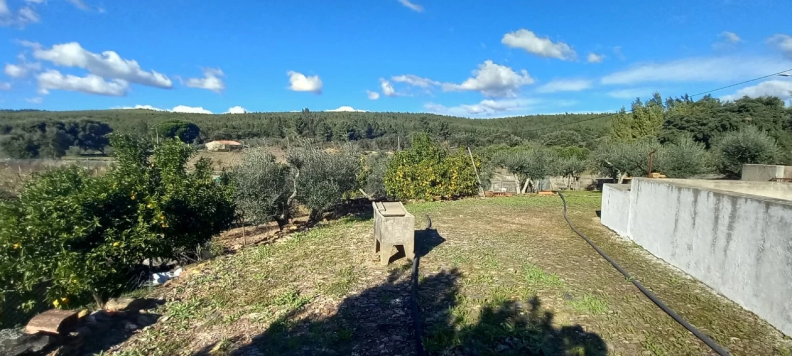 Moradia T3 para Venda em Alegrete Foto 54