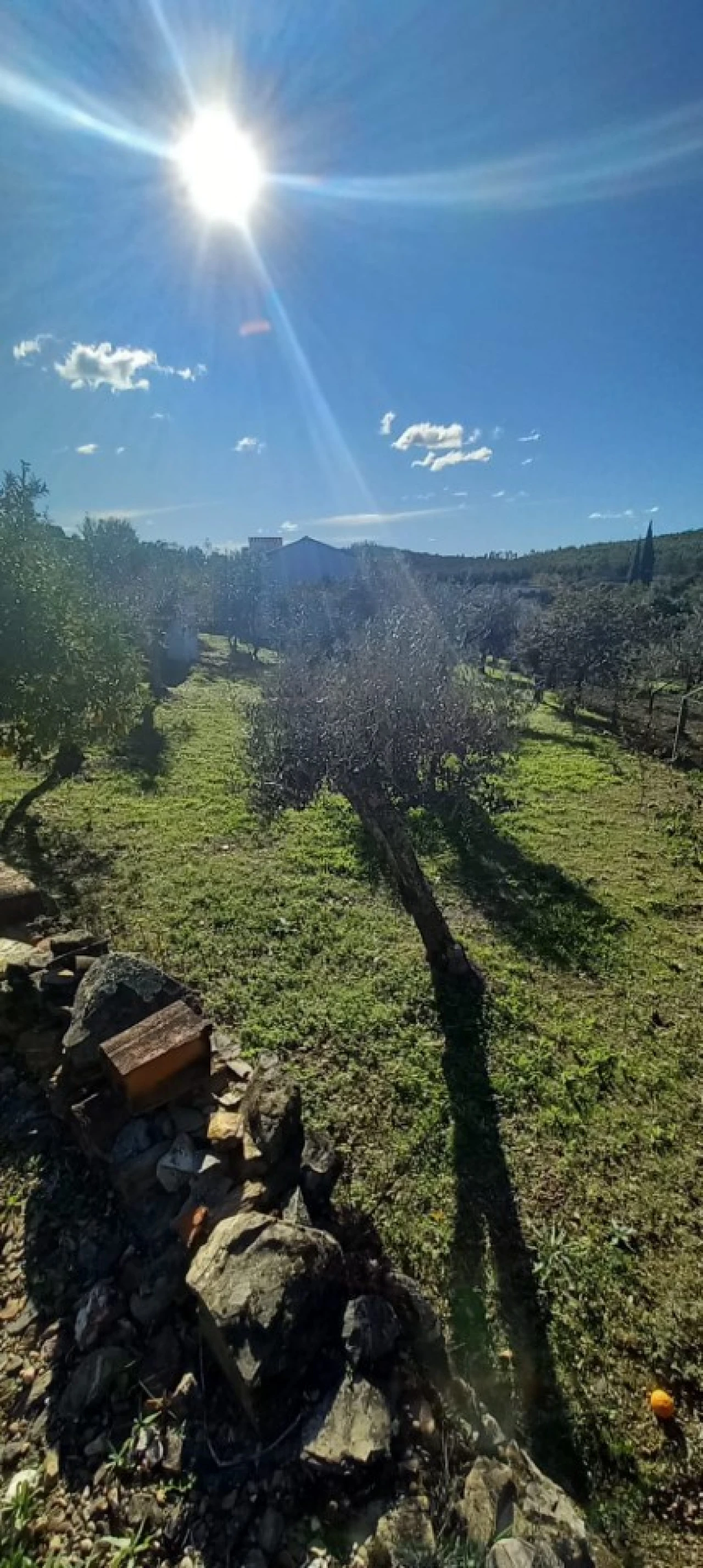 Moradia T3 para Venda em Alegrete Foto 55