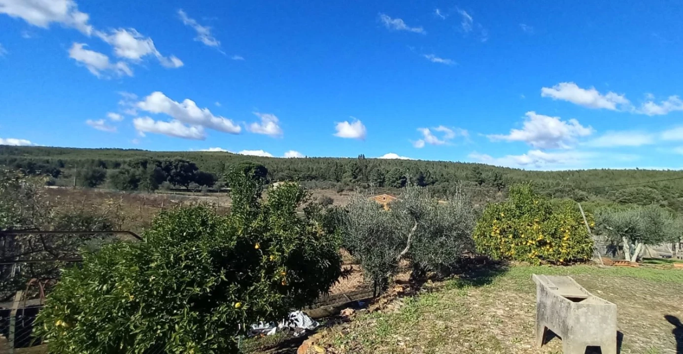 Moradia T3 para Venda em Alegrete Foto 59