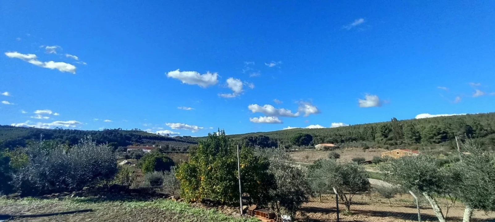 Moradia T3 para Venda em Alegrete Foto 62