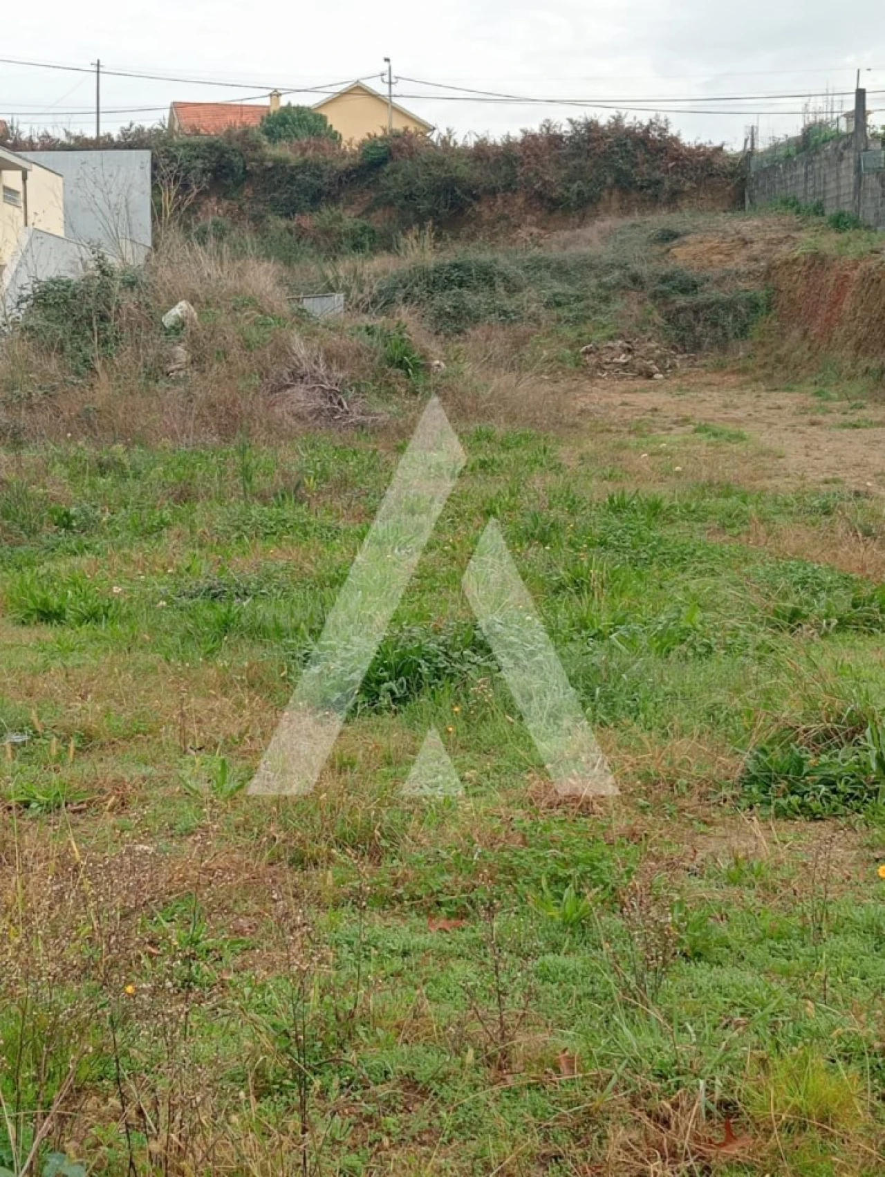 Terreno para Venda em Ardegão, Freixo e Mato Foto 3