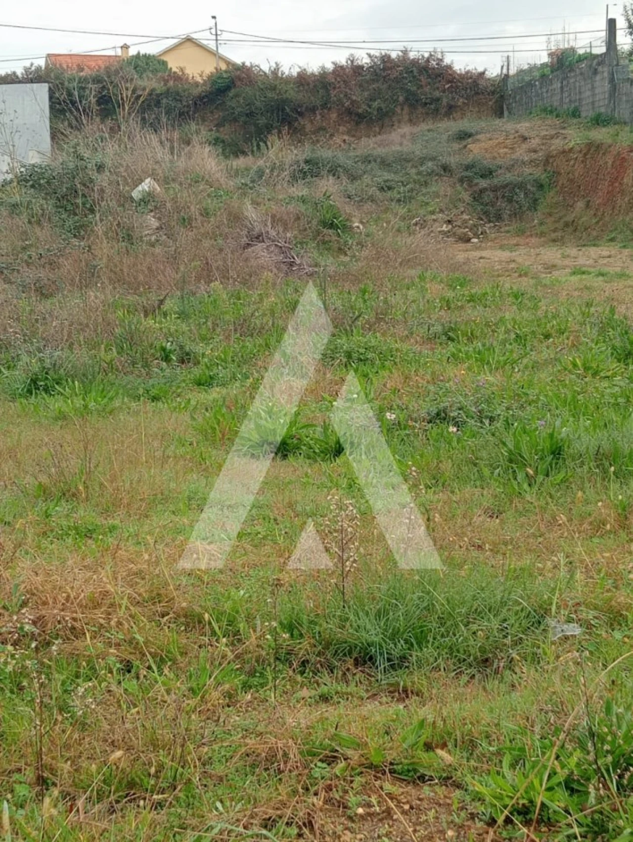 Terreno para Venda em Ardegão, Freixo e Mato Foto 2