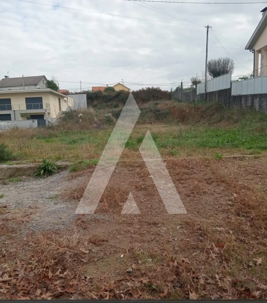 Terreno para Venda em Ardegão, Freixo e Mato Foto 5