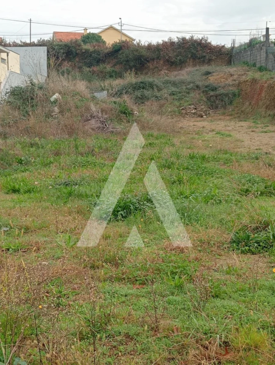 Terreno para Venda em Ardegão, Freixo e Mato Foto 3